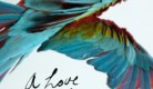 ALoveLetterFromAStrayMoonCOVER