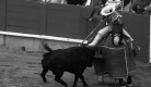 KYD9 Bullfighting2bw
