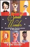 small_wonder
